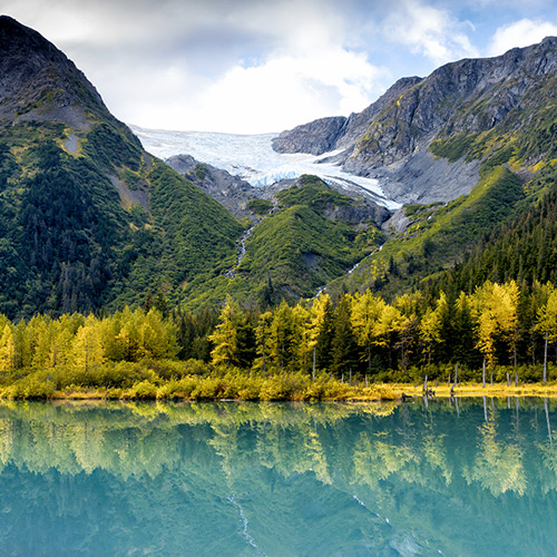 The Alaska Collection