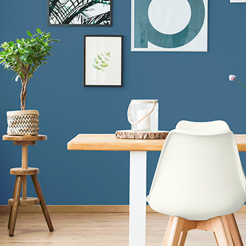 Cosmic Dust Dining Room Color Schemes