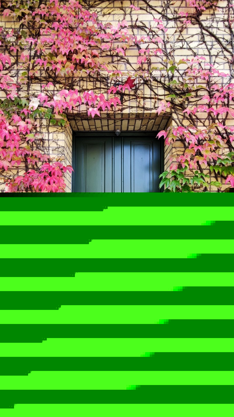 brick house front tiles design