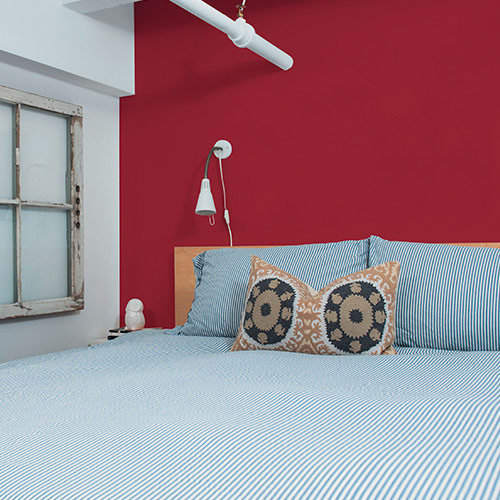 The Commoner Collection