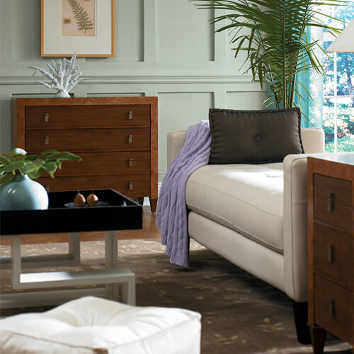 Living Room Color Schemes