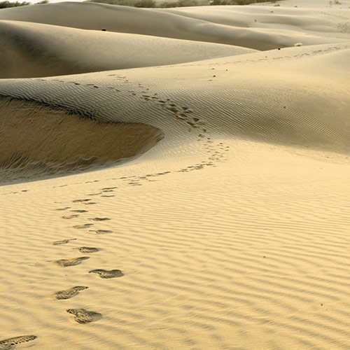 Vicente Wolf: Soulitude Neutrals