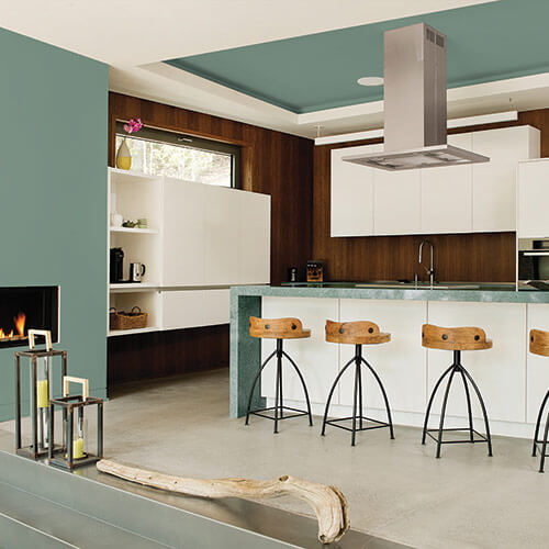 Color Trend: Odyssey