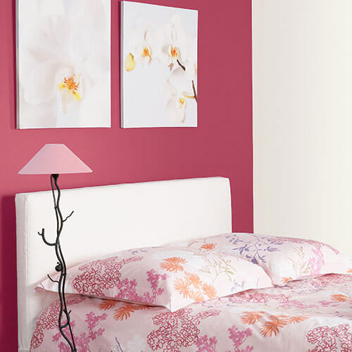 Color Trend: Confluence