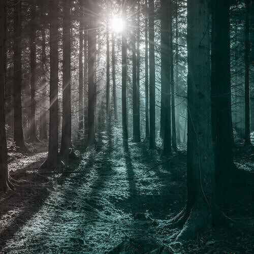 Paint Color Palette: We Are