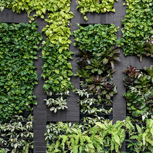 PPG Ecological Solutions