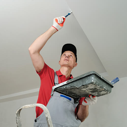 Primers & Barrier Coats