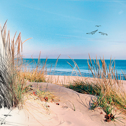 Up North Paint Color Collection