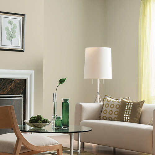 Living Room Color Schemes